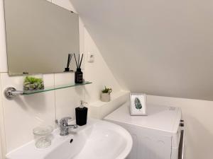 a bathroom with a sink and a mirror and a toilet at Apartments Brunsbüttel in Brunsbüttel