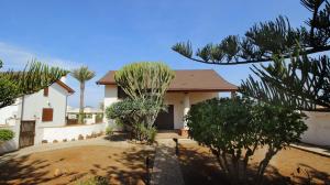 a house with trees in front of it at B&b Villa Rosella in Petrosino