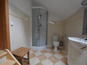 a bathroom with a shower and a toilet and a sink at Holiday home in a quiet, authentic mountain village with a view of the surrounding hills in Zlatá Olešnice