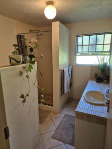a bathroom with a sink and a toilet and a window at The Macadamia Nut Farm House in White River +4 photos