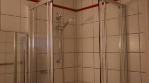 een douche met een glazen deur in een badkamer bij Hotel an der Rennbahn in Dresden +25 foto's