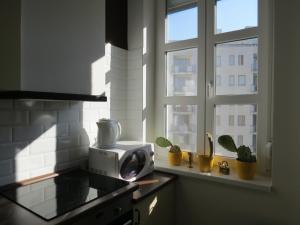 ブダペストにあるBig Brothers Apartmentのキッチン(窓際のカウンターに電子レンジ付)