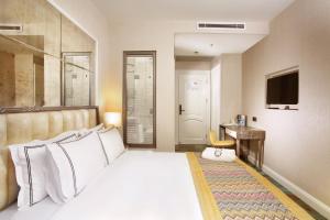 a hotel room with a bed and a television at Berjer Boutique Hotel & Spa in Istanbul