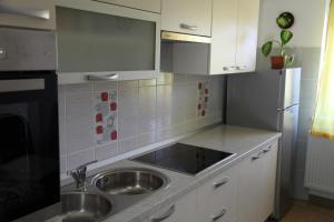 Kuchyň nebo kuchyňský kout v ubytování Holiday Home Mađerka