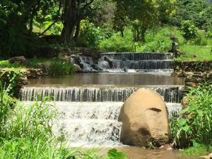 a waterfall in a park next to a river at Doi Lom Elephant farmstay in Ban Muang Kut