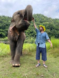 a man is feeding an elephant with its trunk at Doi Lom Elephant farmstay in Ban Muang Kut