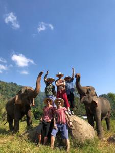 a group of people standing on a rock with elephants at Doi Lom Elephant farmstay in Ban Muang Kut