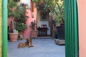 Κατοικίδιο ή κατοικίδια επισκεπτών που μένουν στο La Scaletta