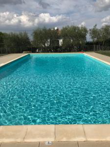 ein großer blauer Pool mit blauem Wasser in der Unterkunft Agriturismo Azienda Agricola La Roccaia in San Gimignano