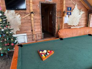 una camera con tavolo da biliardo e albero di Natale di Guesthouse Karpaty a Yasinia Altre 24 foto