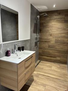 a bathroom with a sink and a large mirror at Rathauswiese Ferienwohnung in Braunlage +3 photos