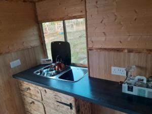 a kitchen counter with a sink and a window at Belle's Belle-Vue in Thakeham