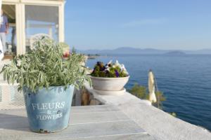 two potted plants sitting on a ledge near the water at Kekrifalia Hotel in Skala