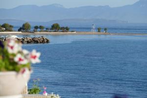 a view of a body of water with flowers at Kekrifalia Hotel in Skala