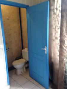 a bathroom with a toilet and a blue door at Hôtel Cyrano Voltaire in Paris +13 photos