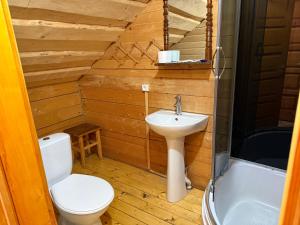 un bagno con un water e un lavandino di Guesthouse Karpaty a Yasinia