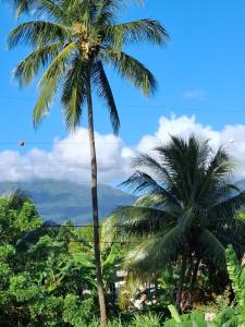 Phong cảnh thiên nhiên gần căn hộ