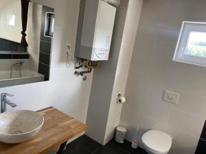 a bathroom with a sink and a toilet at Apartman Lapaž 12 in Toplice Sveti Martin +3 photos