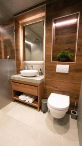a bathroom with a sink and a toilet and a mirror at Hotel Central in Inđija +27 photos