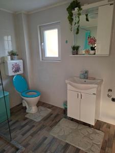 a bathroom with a toilet and a sink and a mirror at Šumarac in Karadak +156 photos