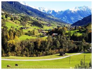 a winding road in a field with mountains in the background at Fewo-Egger-Thalmann in Virgen +17 photos
