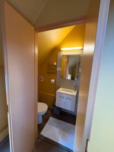 a bathroom with a white toilet and a sink at Belle Nuit in Diksmuide