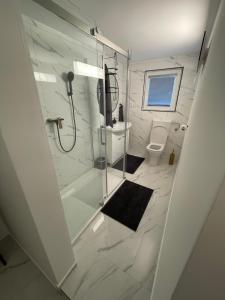 a white bathroom with a shower and a toilet at Second home apartment - silver in Kustići +9 photos