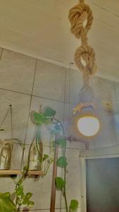 a room with plants on the wall and a light at Casa Refúgio Cataratas - Perto das Principais Atrações e do Aeroporto in Foz do Iguaçu +52 photos