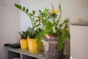Fotografie z fotogalerie ubytování Apartment Mirjana ve Splitu