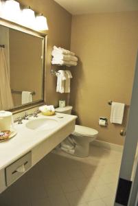 Bilik mandi di Cow Hollow Inn and Suites