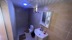 a bathroom with a sink and a shower and a toilet at Starry Nights Luxury Camp in Wadi Rum