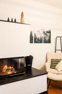 een woonkamer met een open haard en een stoel bij Charaktervolle 122qm Altbau-Ferienwohnung mit Stuck, viel Platz für Familien & Gruppen bis zu 8 Personen, Parkplatz inklusive in Baiersbronn