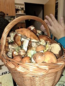 ein Korb mit verschiedenen Brotsorten in der Unterkunft Chalupa Anežka in Králíky