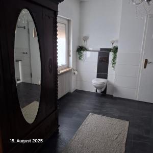 a bathroom with a large mirror and a toilet at Casa Calali haustierfreundlich u barrierefrei in Bad Endbach