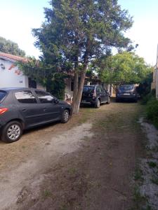 a group of cars parked next to a tree at Forza e avanti in Santa Teresita