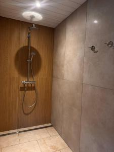 a bathroom with a shower with a shower head at Merlimont Spa Gîte Au Gîte des Colibris Merlimont in Merlimont
