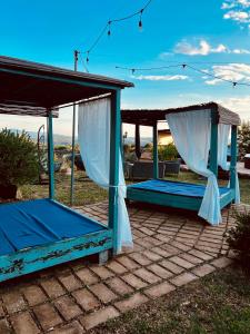 Billede fra billedgalleriet på Tenuta di Freddano i Osa