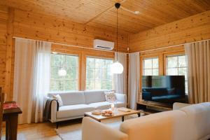 a living room with a couch and a tv at Matilda Villas, quality villas by the sea in the beautiful village of Mathildedal in Matildedal