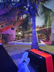 a person with a suitcase next to a palm tree at Hôtel évasion pêche djilor île sine saloum in Fatick