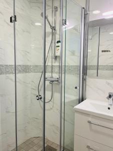 拉赫蒂Lake Suite Family的水槽旁边有玻璃门的淋浴间