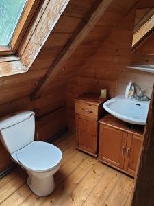 een badkamer met toilet en wastafel bij Landhotel Oberwengerhof in Spital am Pyhrn +62 foto's