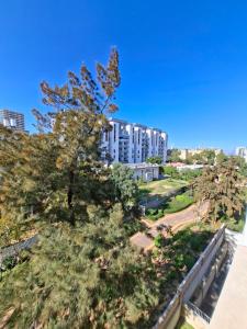 a tree in a park with a building in the background at Histadrout street 3 bedrooms central Ashdod in Ashdod