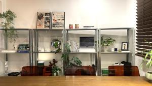 a room with shelves with potted plants on them at 스테이아지트 in Seoul