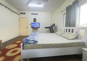 a bedroom with a bed and a tv in it at Qidfa apartment in Qidfi‘