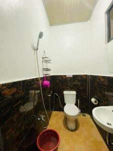 a bathroom with a toilet and a shower and a sink at Emmanuel2A Homestay in San Vicente