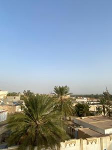 a view of a city with palm trees at Dar Hamma in Tozeur +6 photos