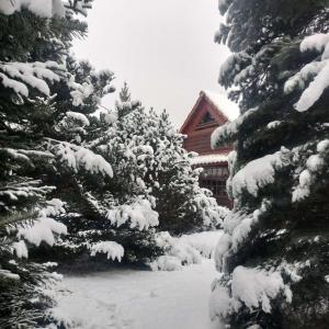 a snow covered forest of trees in front of a house at "Koloc dom drewniany " in Ujsoły