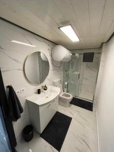 a bathroom with a sink and a mirror and a toilet at Second home apartment - gold in Kustići +11 photos