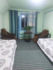 Giường trong phòng chung tại Syrgak