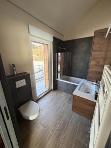 ein Badezimmer mit Waschbecken, Toilette und Badewanne in der Unterkunft Le chalet O'Perché - Wissembourg in Wissembourg